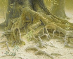 野地美樹子 Mikiko Noji